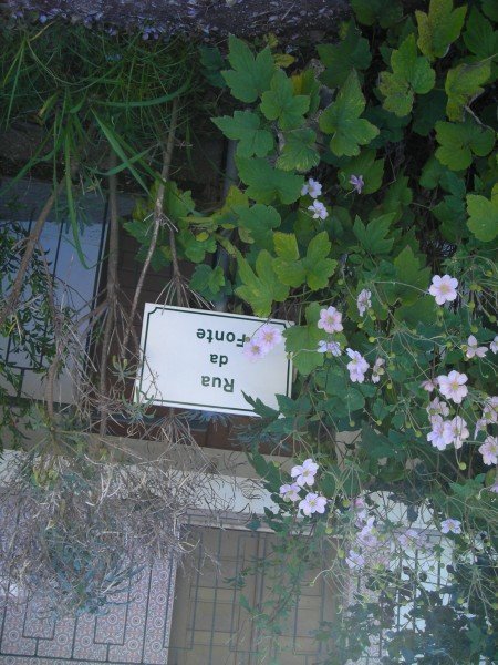 dscn1617.jpg
