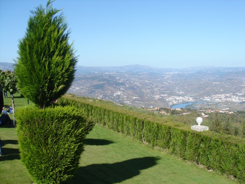 dsc01450.jpg