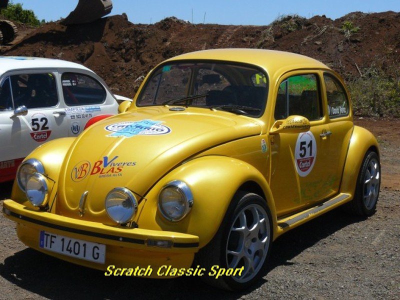 iiiclapalma193.jpg